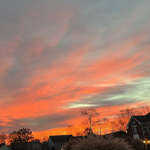 Meet your Posher, Addison